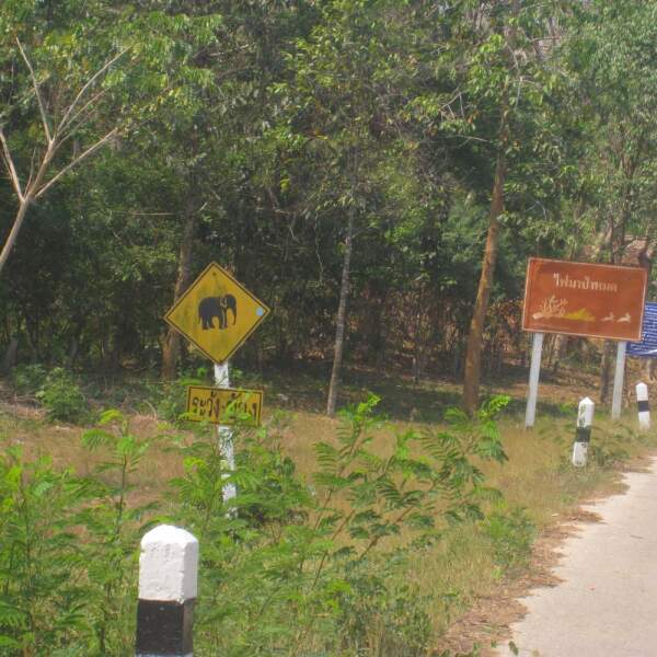 Motorradreisen Thailand Ankunft Sightseeing Abendessen